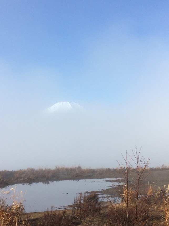 山11-5