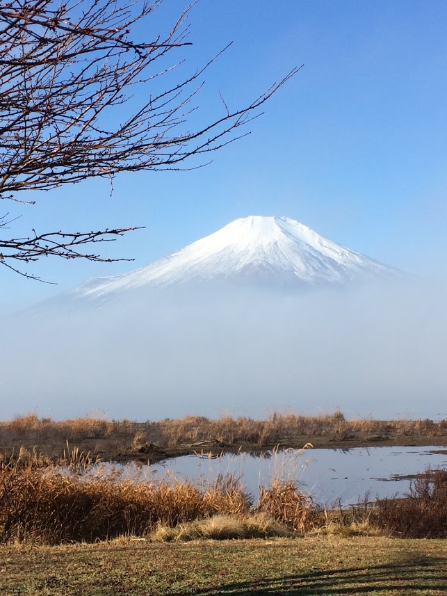 山11-7