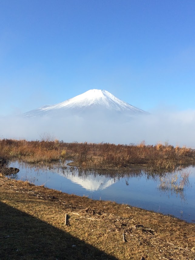 山11-8