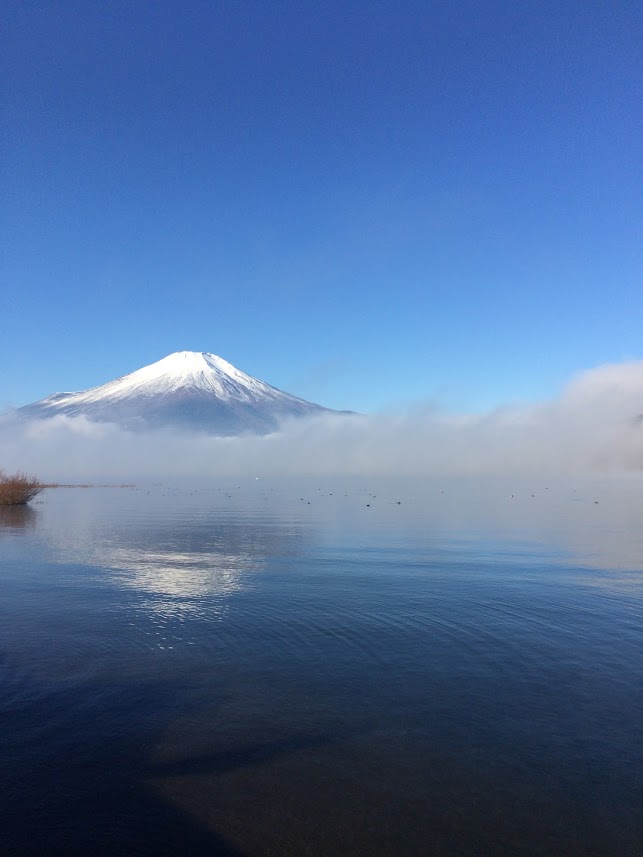 山11-10